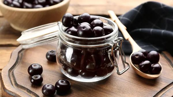 can you feed acai berry to your pets