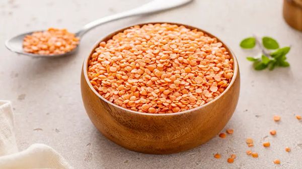 can you feed lentils to your pets