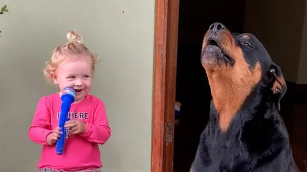 rottie howls along when her baby sister starts singing