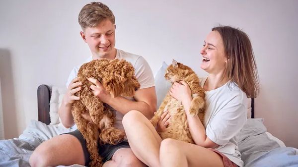 blessings we receive from pets