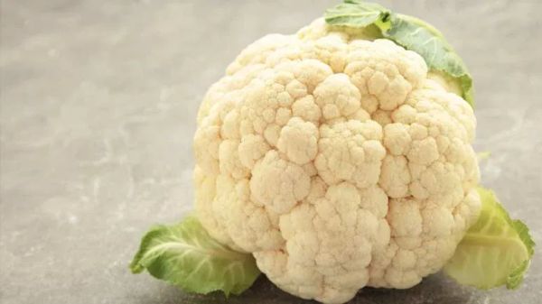 can you feed  cauliflower to your pets
