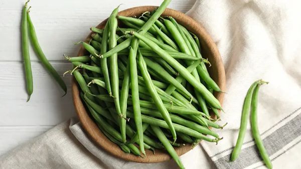 can you feed green beans to your pet