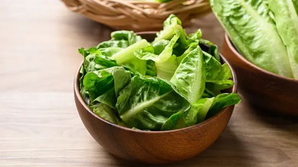 can you feed romaine lettuce to your pets