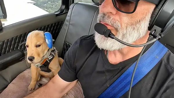 puppy lives for plane rides with his dad