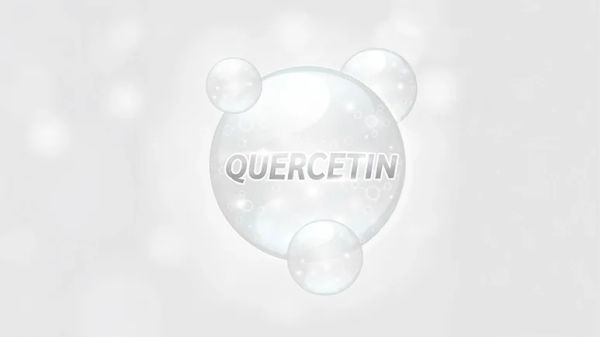quercetin benefits for dogs