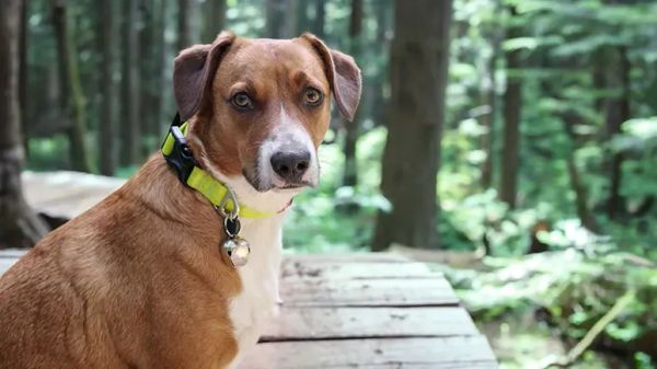 staying safe during outdoor adventures