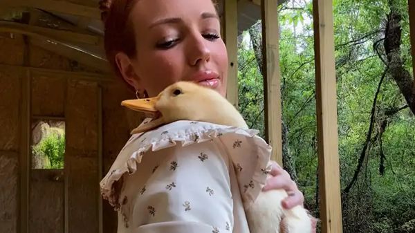 this duck just wants to be held forever