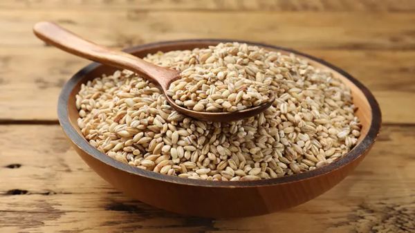 can you feed barley to your pets