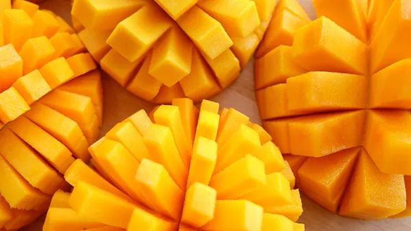 can you feed mango to your pet