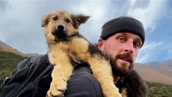 hiker reaches a peak and finds a puppy waiting