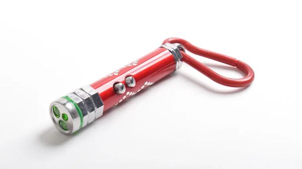 laser pointer syndrome dogs hidden danger