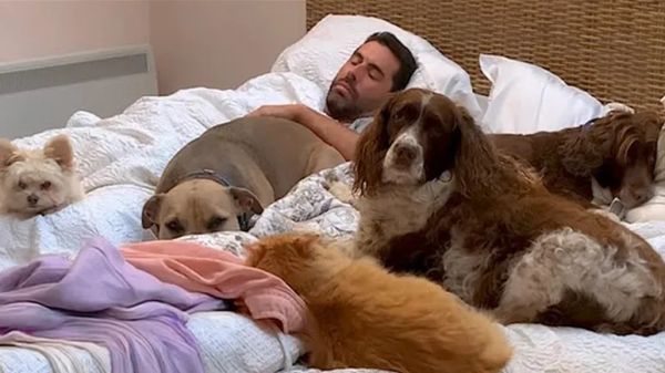 man sleeps in bed full of rescue animals and loves it