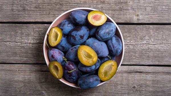 can you feed plums to your pets