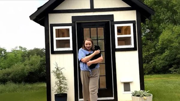 cat mom builds a tiny cabin for her 7 rescue cats
