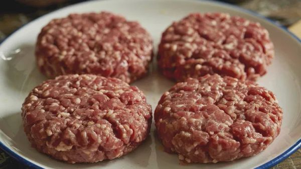 grass fed beef mini burger