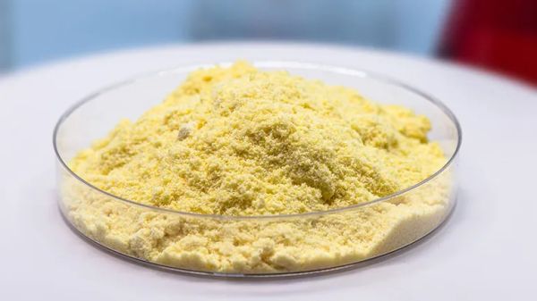 plasma for pet health benefits and uses