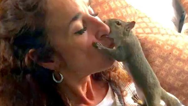 squirrel keeps visiting the woman who rescued him