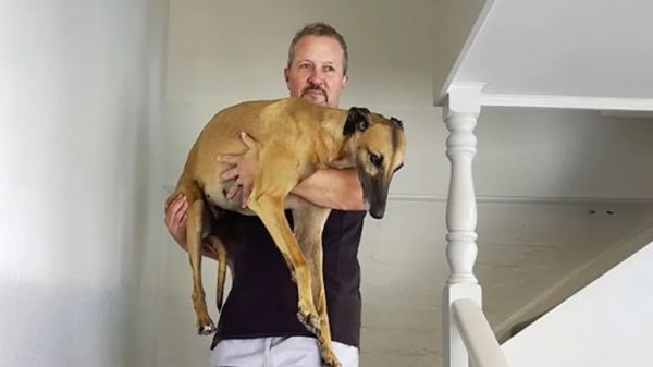 a retired racer discovers a new world