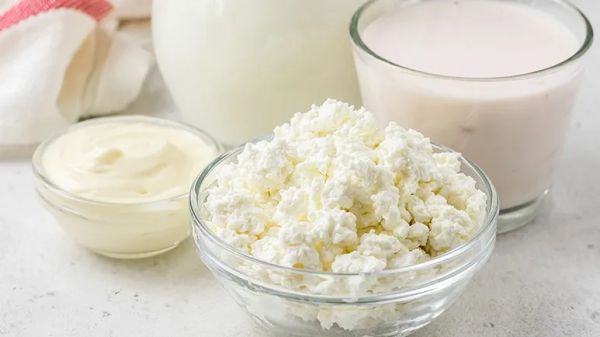 are yogurt and kefir good for pets