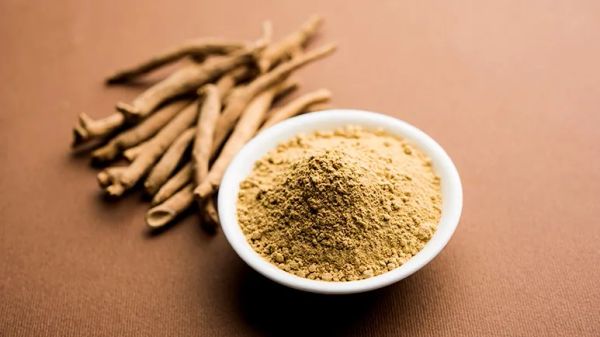 ashwagandha for pet stress