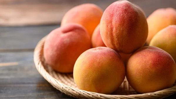 can you feed peaches to your pets
