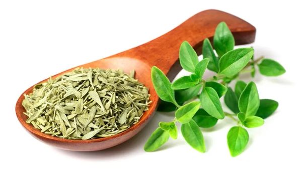 can you feed thyme to your pets