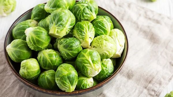can your pets eat brussels sprouts