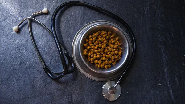 raw pet food health warnings