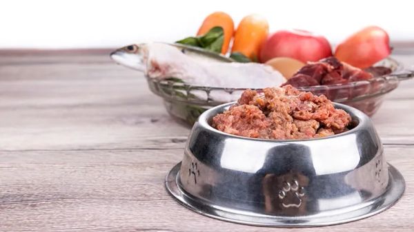 raw pet food market growth