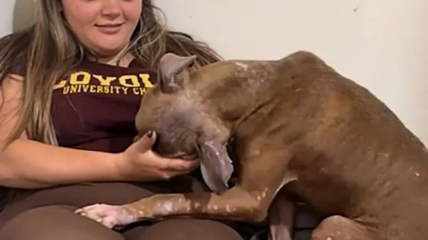 this neglected dog never lost his joy