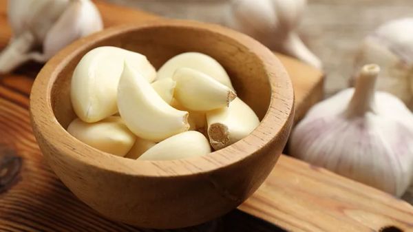 can you feed garlic to your pets