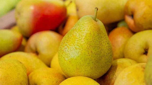 can you feed pears to your pets