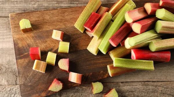 can you feed rhubarb to your pets