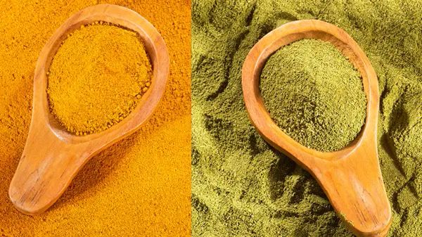 turmeric benefits for pets