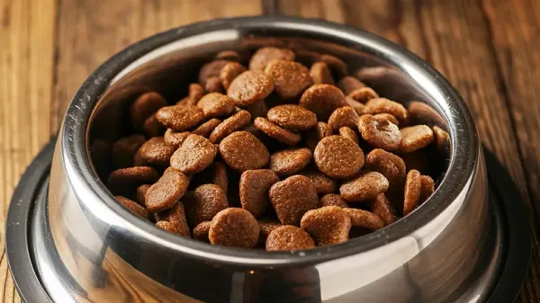 adding fiber to dog meal plan