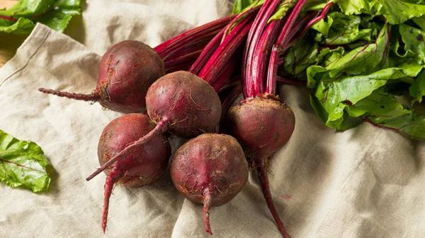 can you feed beets to your pets