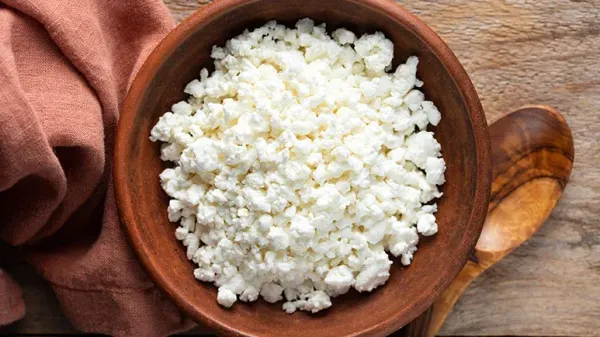 can you feed cottage cheese to your pet