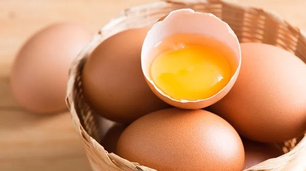 can you feed eggs to your pet