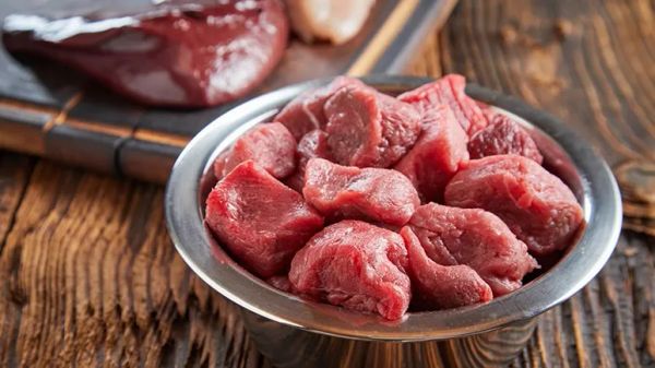 cdc weighs in on raw pet food
