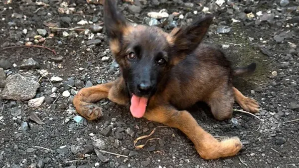 from put her down to running again