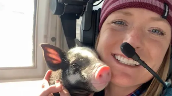 the little pig who beat the odds
