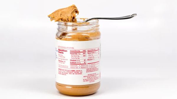 xylitol toxicity in dogs