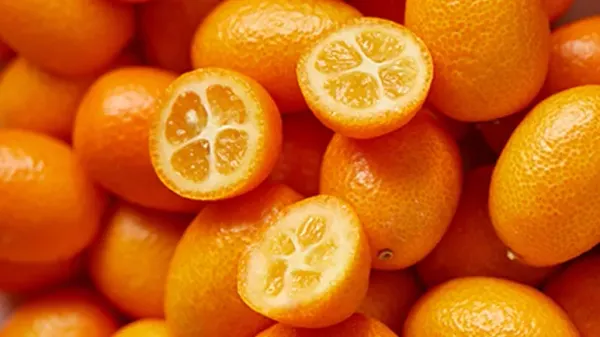 can you feed kumquats to your pets