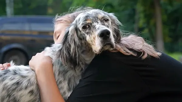 common mistakes dog parents make