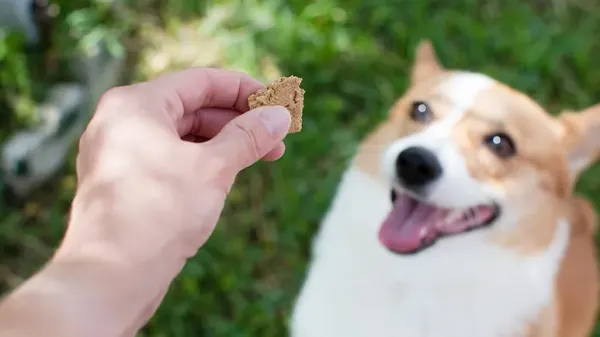 frozen yeast buster bites recipe