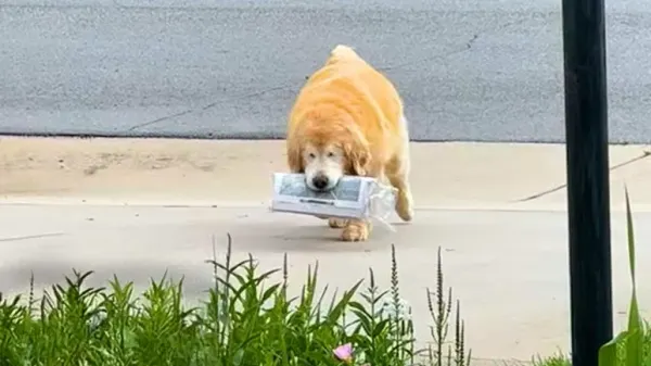 he never gave up his favorite job