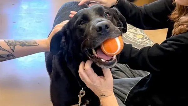 he waited a year for this moment