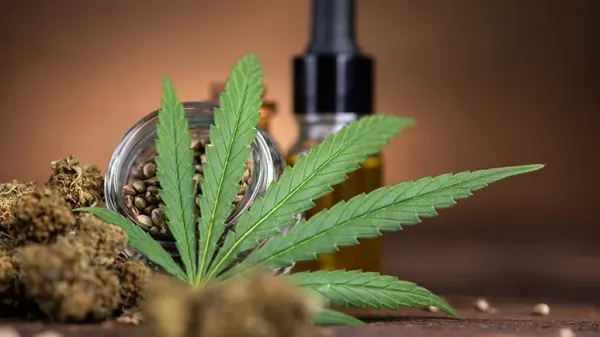 pet medicinal marijuana