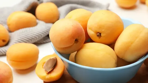 should you feed apricots to your pets