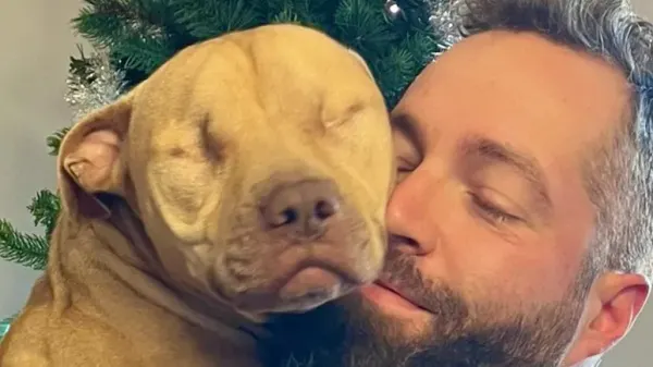 the fight dog who only wanted love